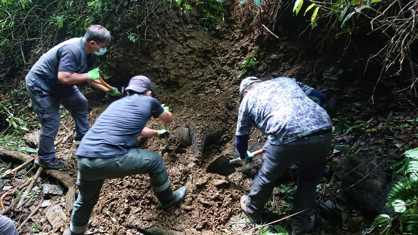 編號「568」的公台灣黑熊,日前被發現屍體被掩埋於南投仁愛鄉武界產業道路不到100公尺處。(林務局提供)