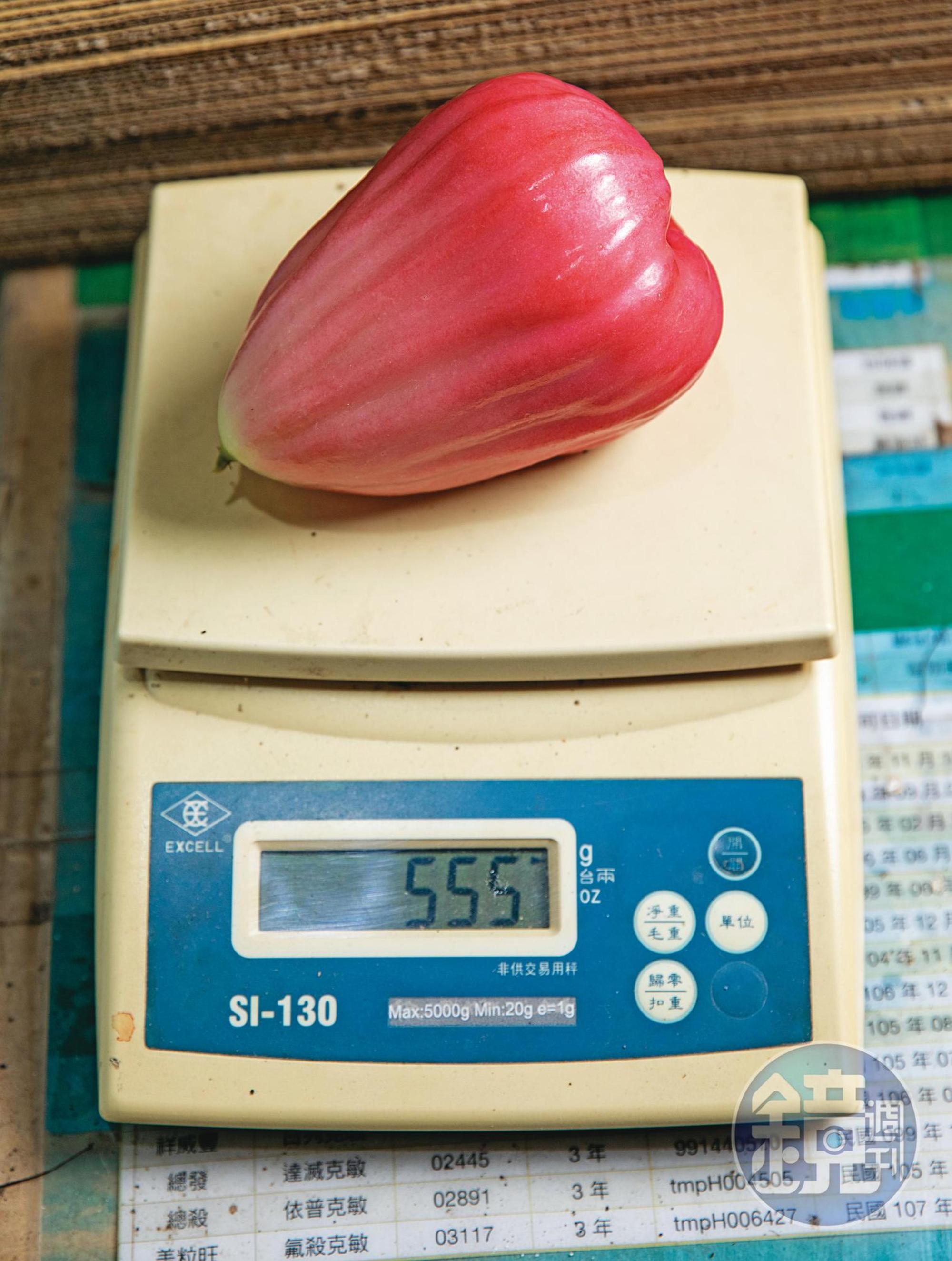三千胭脂果型碩大飽滿,單顆重量可近1台斤,夏果會有獨特粉紅漸層色澤。(3,000元/顆)