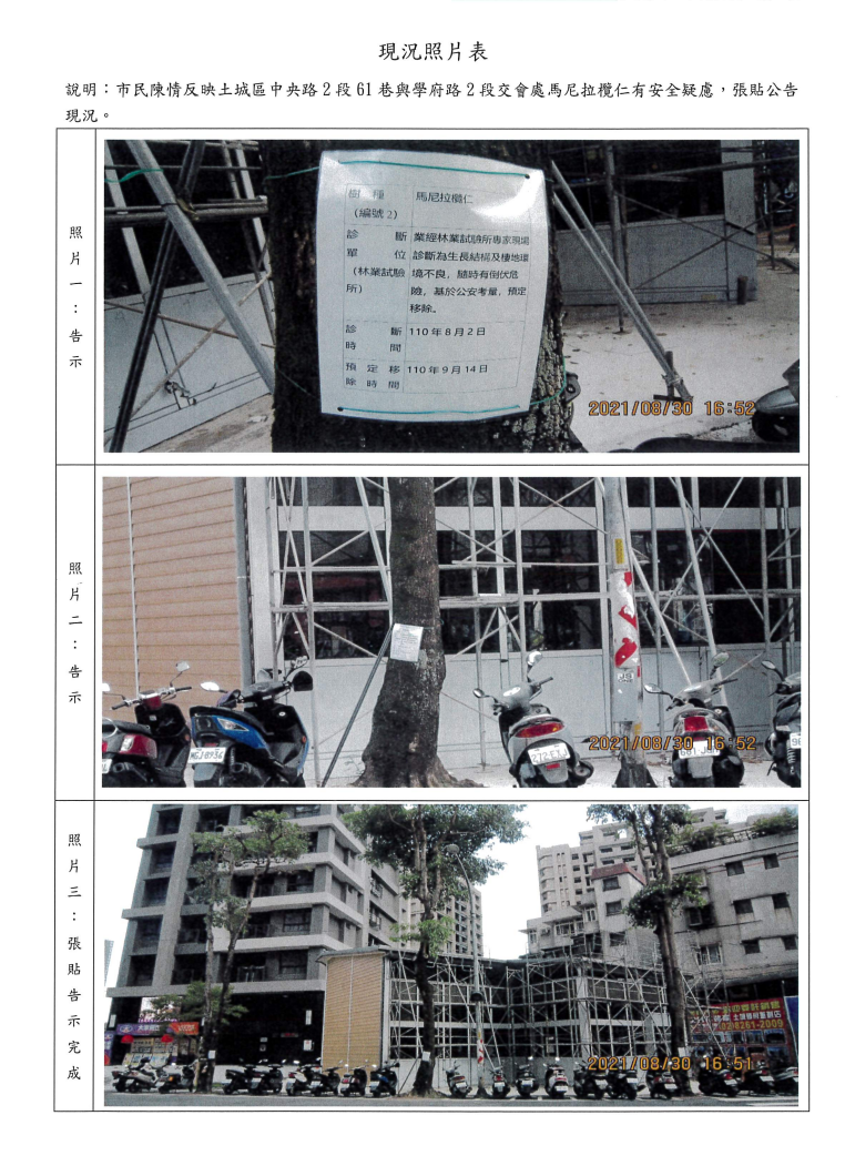 民眾質疑，林金結疑似施壓相關局處，將服務處門口的3棵行道樹砍除。（讀者提供）