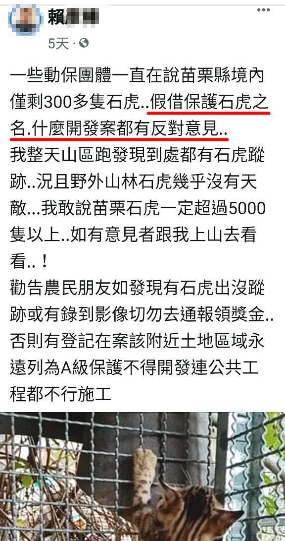 賴姓獵人在臉書表示，動保團體是假借保育石虎之名，阻擋開發。（翻攝賴男臉書）