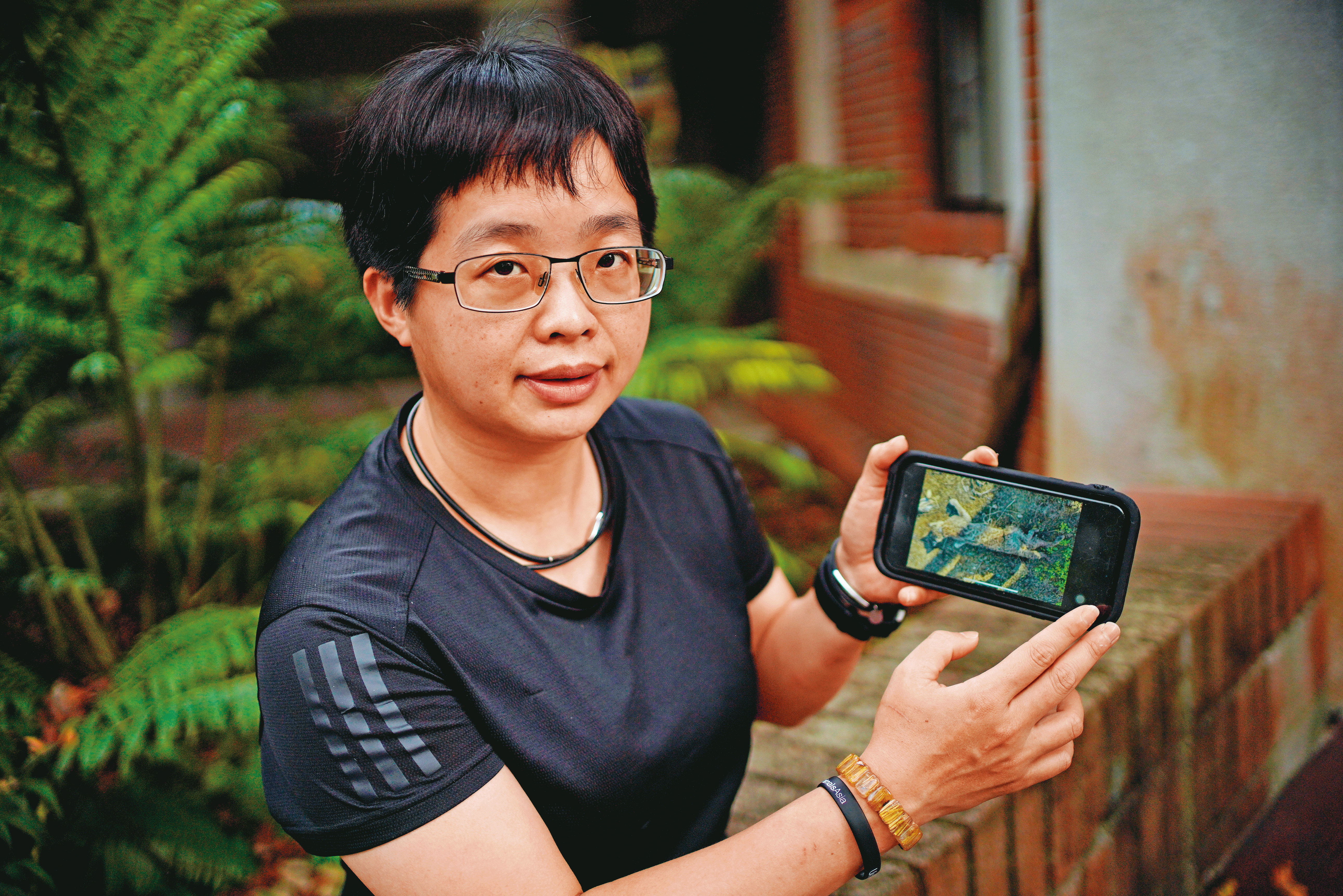 石虎專家林育秀表示，非法獵具對石虎的傷害比開發案更直接、更殘忍。