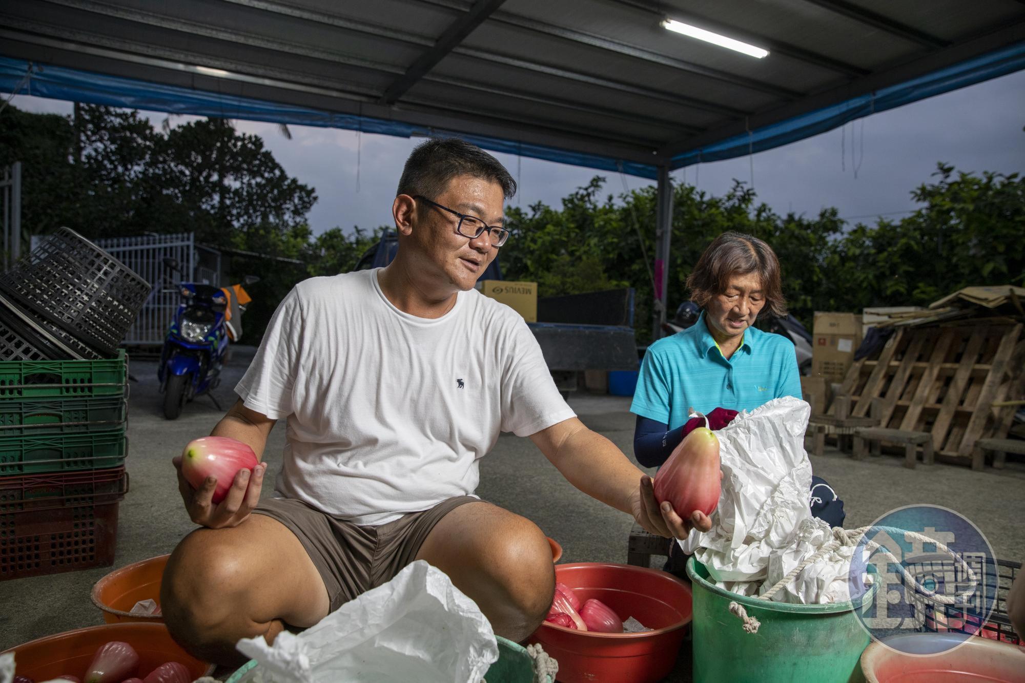 余昶佑(左)與母親葉金梅(右)採外觀目視、磅重、套袋3道人工檢查,確保每顆出產的品質。