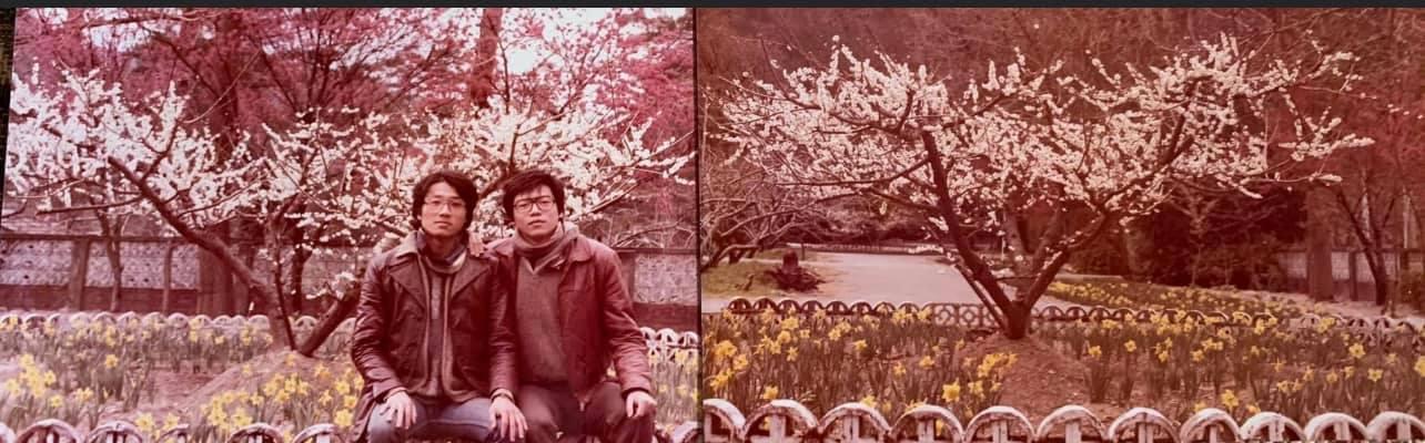 我翻開當年去武陵農場桃山的照片，那年2月梅花正好。（裴偉提供）