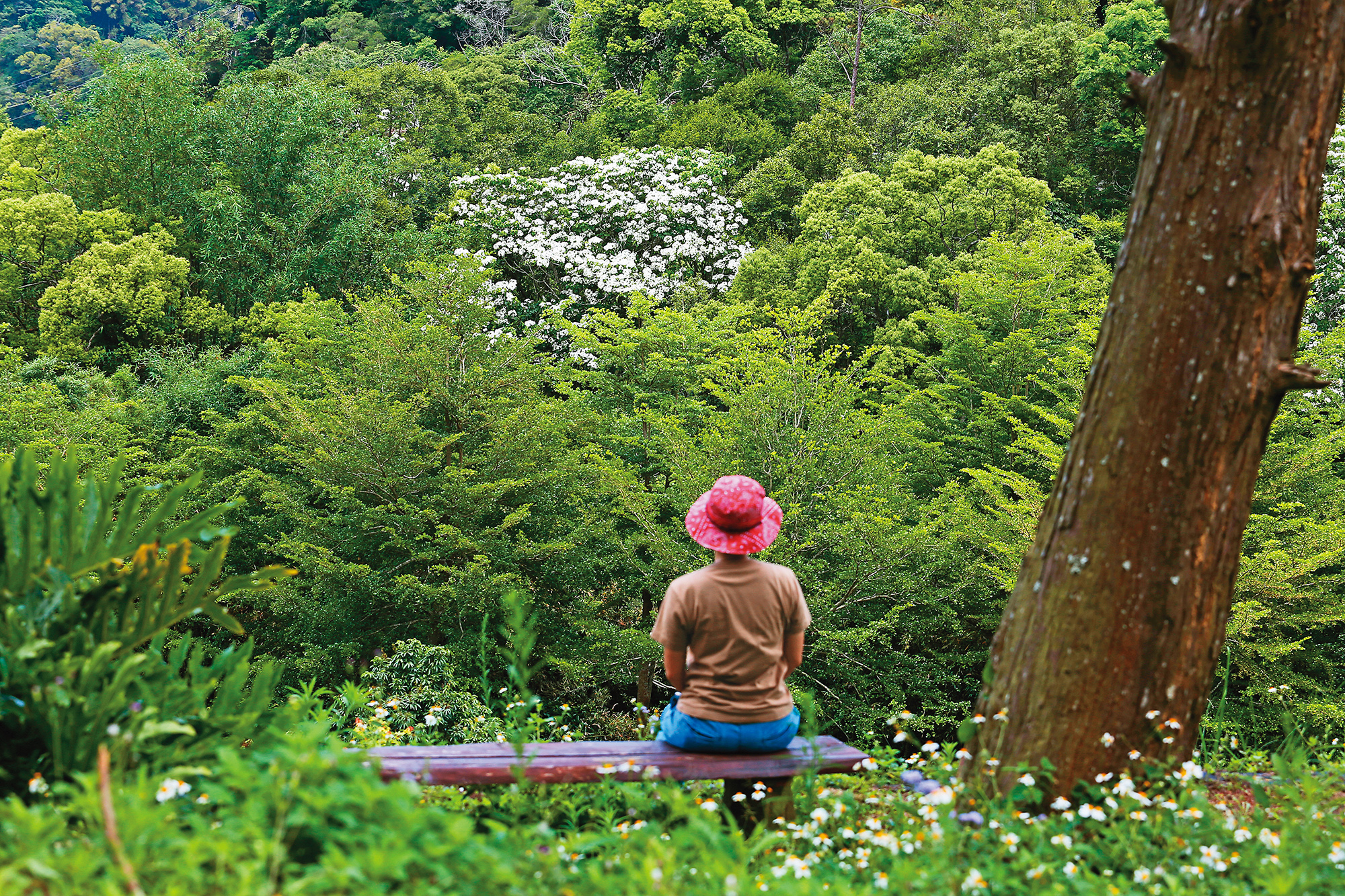 位於苗栗卓蘭「景山．大經」的主人袁珮蓓，會在她喜歡的農場角落，設置一張長椅，安坐欣賞遠方山頭的綠意。
