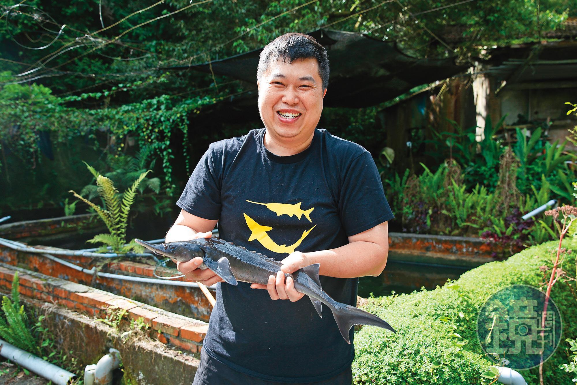 詹喬宇說，店裡能上桌的鱘龍魚，都至少養殖超過2年。