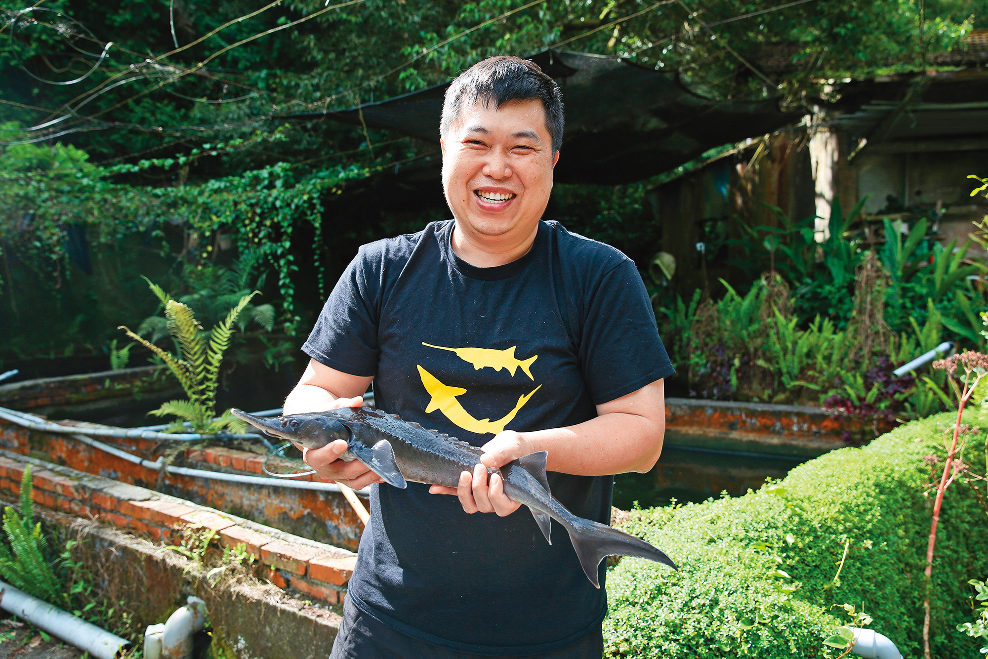 詹喬宇說，店裡能上桌的鱘龍魚，都至少養殖超過2年。