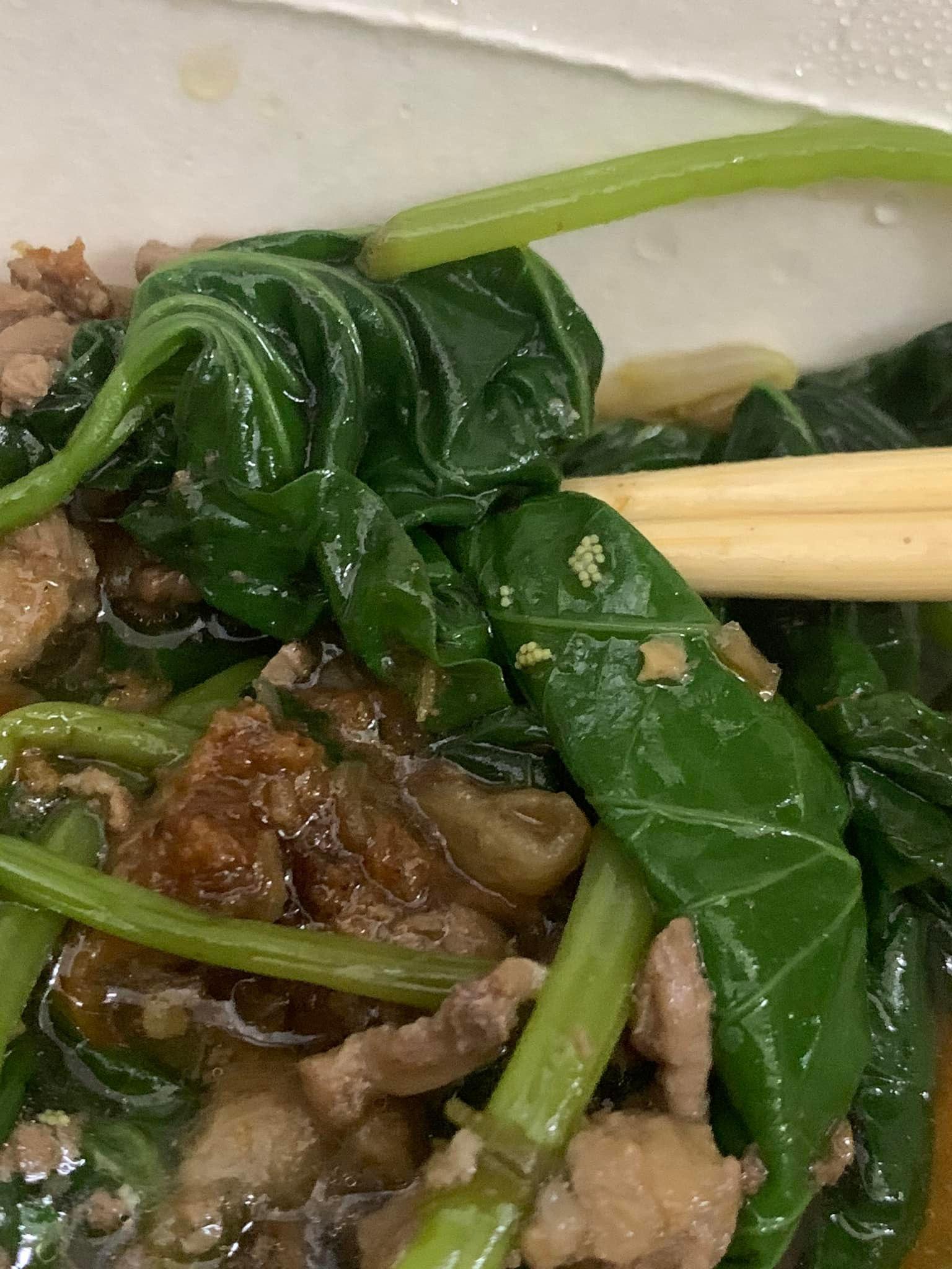 青菜黏著21顆蟲卵,讓網友崩潰直呼「我沒有要加蛋啊!老闆」。(翻攝自爆廢公社公開版臉書)