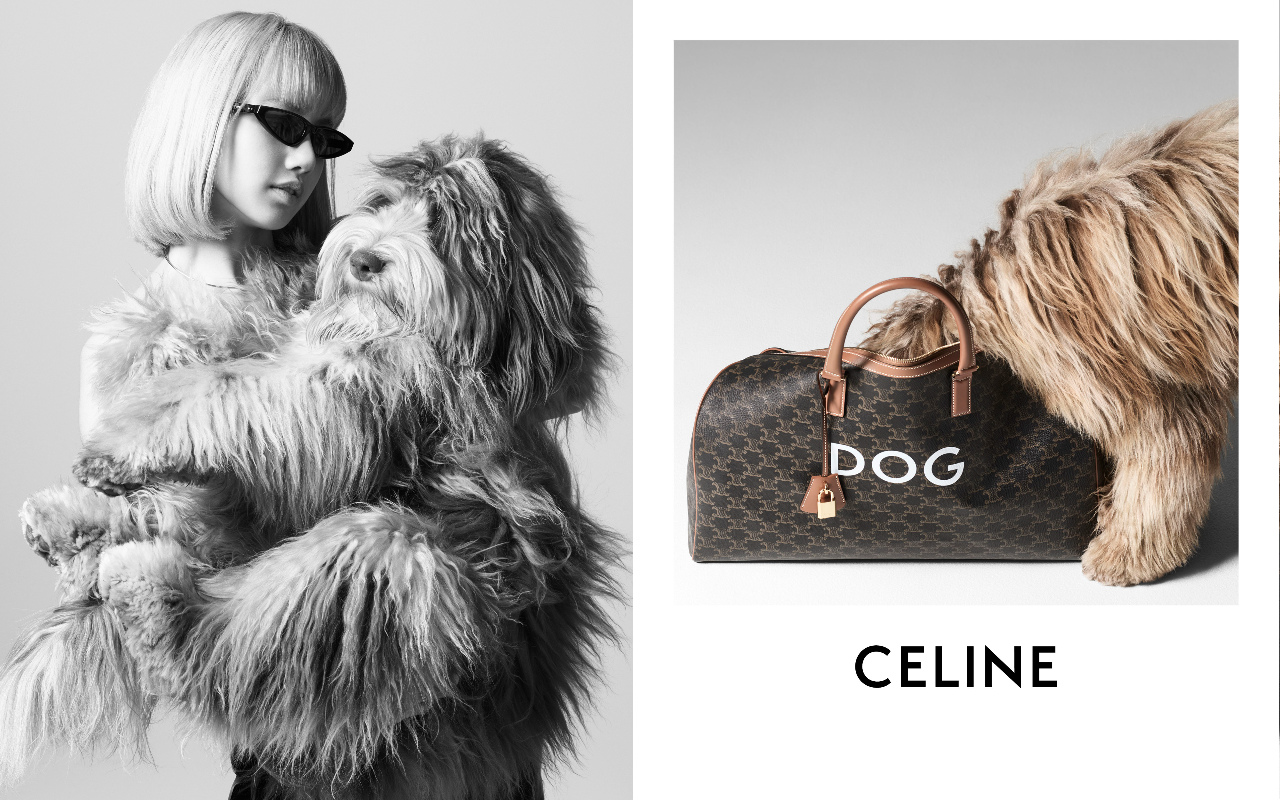 Lisa與Celine設計師的愛犬Elvis，一起拍攝廣告形象片。（Celine提供）