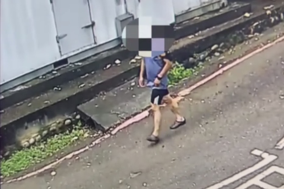 北投軍艦岩附近的遛鳥俠。（翻攝畫面）