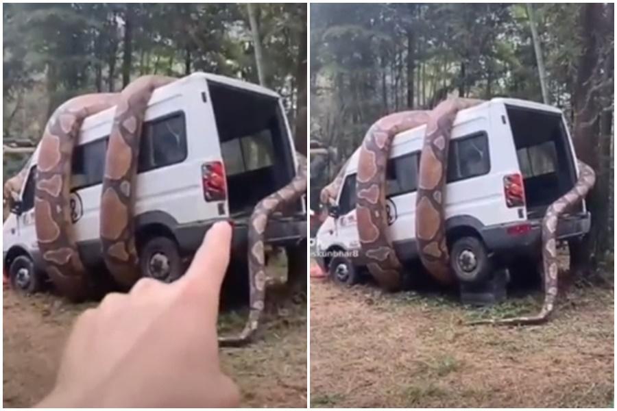 一部名為〈台灣山區巨蟒纏繞車〉的影片在網路瘋傳,經查證根本不在台灣,是中國某風景區的裝置藝術。(翻攝自MyGoPen網站)
