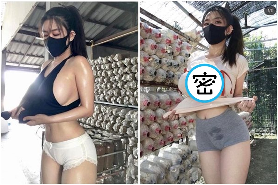 女菇農在網路爆紅，在PPT上掀起高度關注與討論。（翻攝自Niparat konyai IG）