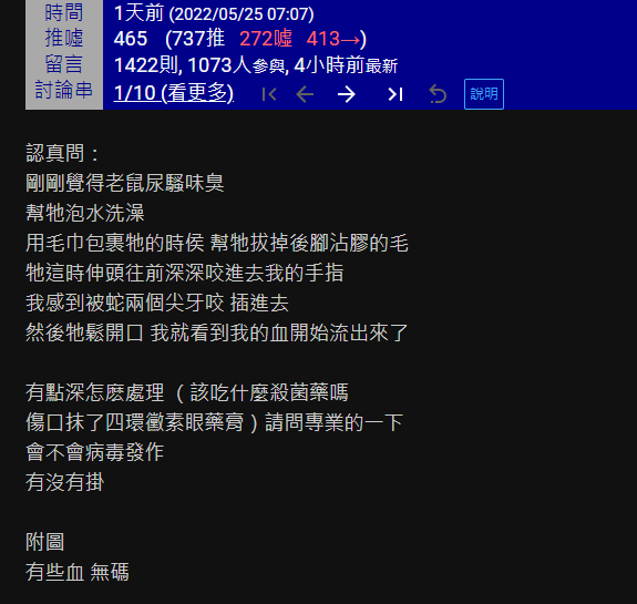 原PO細心照料這隻老鼠，沒想到卻遭牠狠咬一口，讓他傷口鮮血直流。（翻攝PTT）