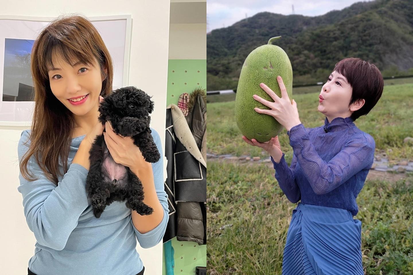 雖然當年李天怡被說鬥走陳雅琳,不過如今兩人命運各異。(翻攝李天怡、陳雅琳臉書)