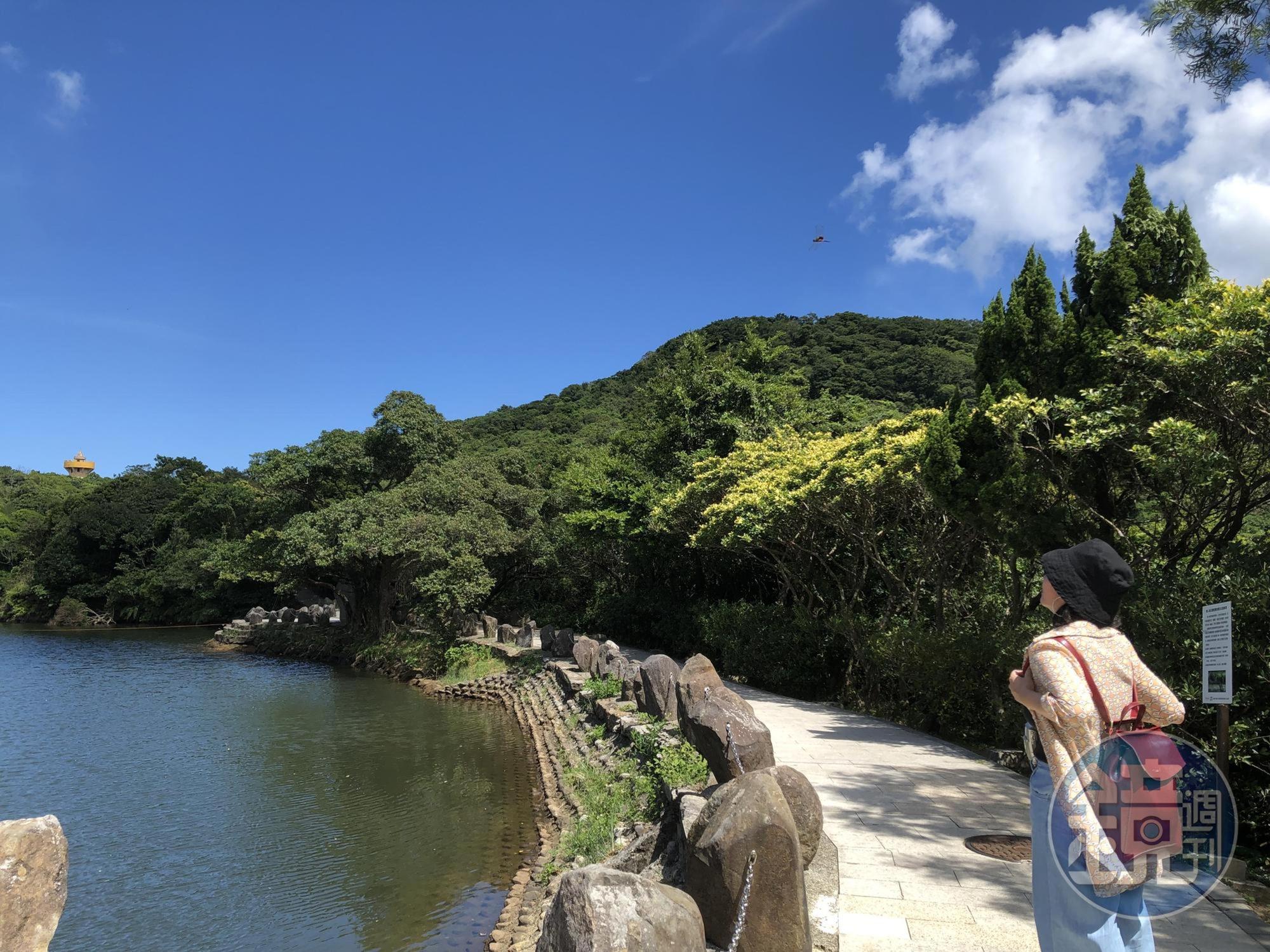 民眾可於9月起衝一波國旅,自由行旅客每晚住宿最多補助1,300元。(本刊資料照)