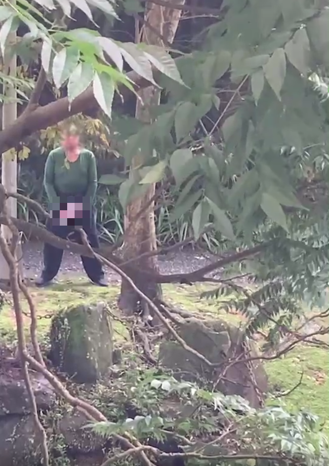 一名7旬老翁在台北市文山區的登山步道旁公然「遛鳥」猥褻，被民眾拍下。（林岳龍提供）