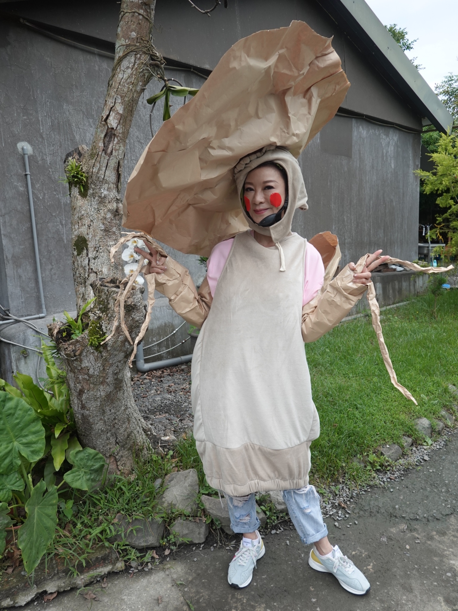 楊繡惠上《綜藝新時代》扮成「靈芝草人」。(民視提供)