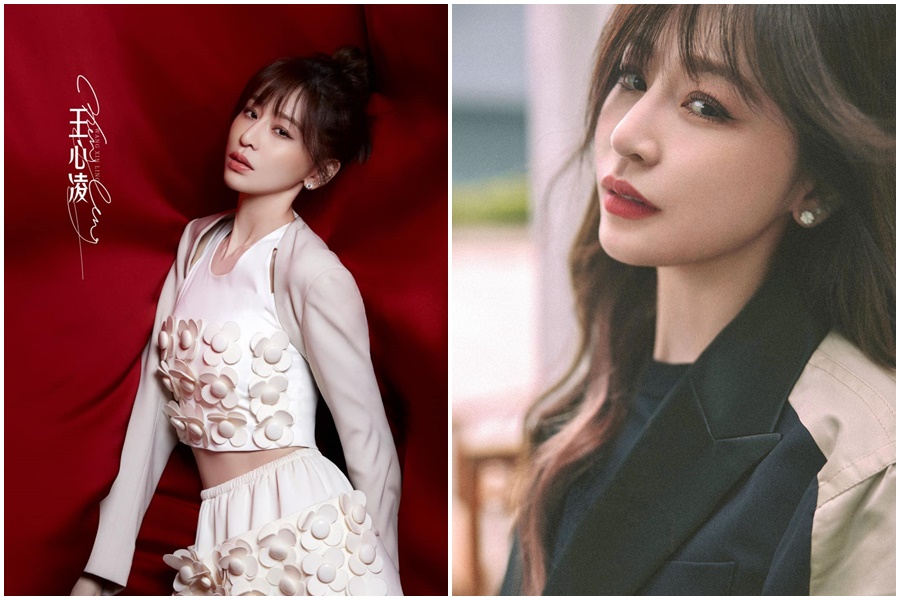 王心凌參加《乘風破浪的姐姐3》知名度再次上升。（翻攝自王心凌臉書）