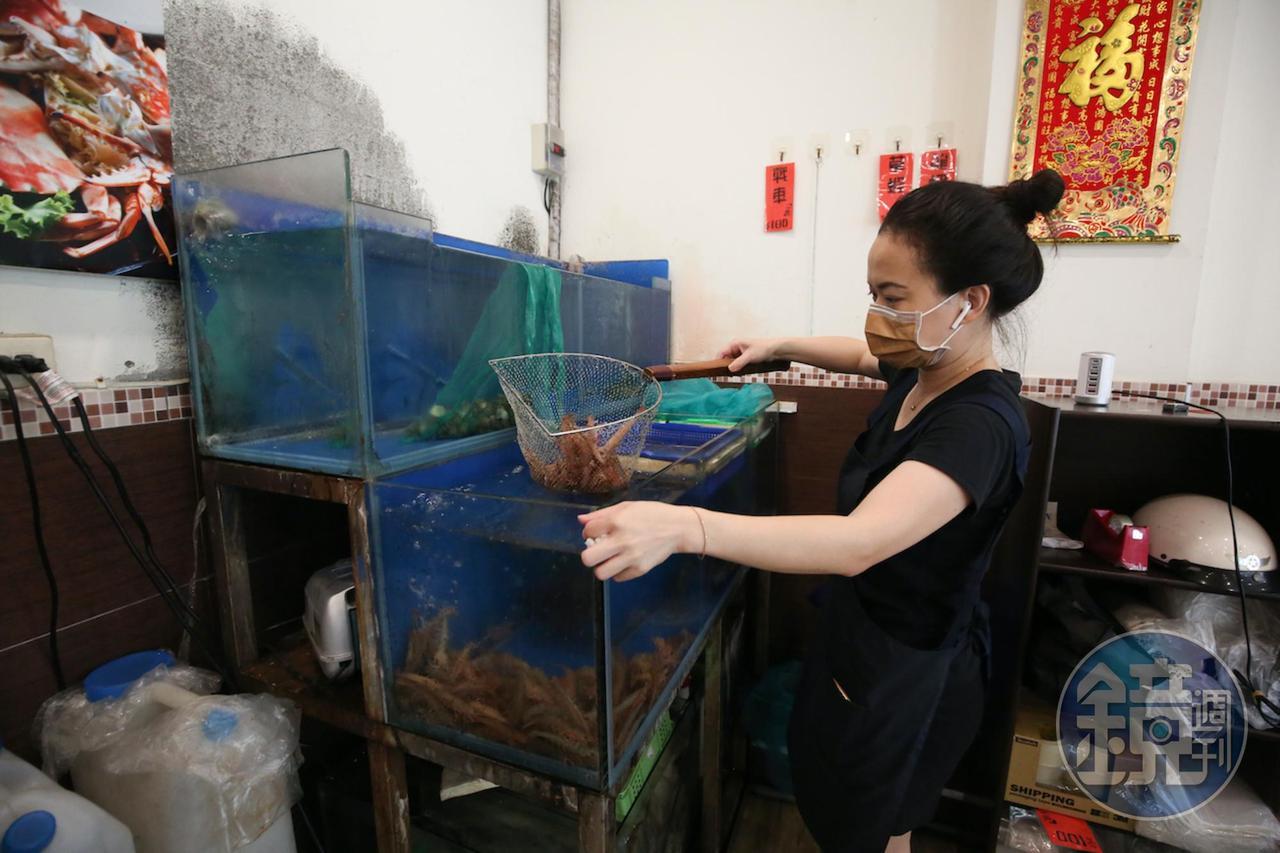 水族箱會定期更換海水、量測濃度,確保蝦貝新鮮。