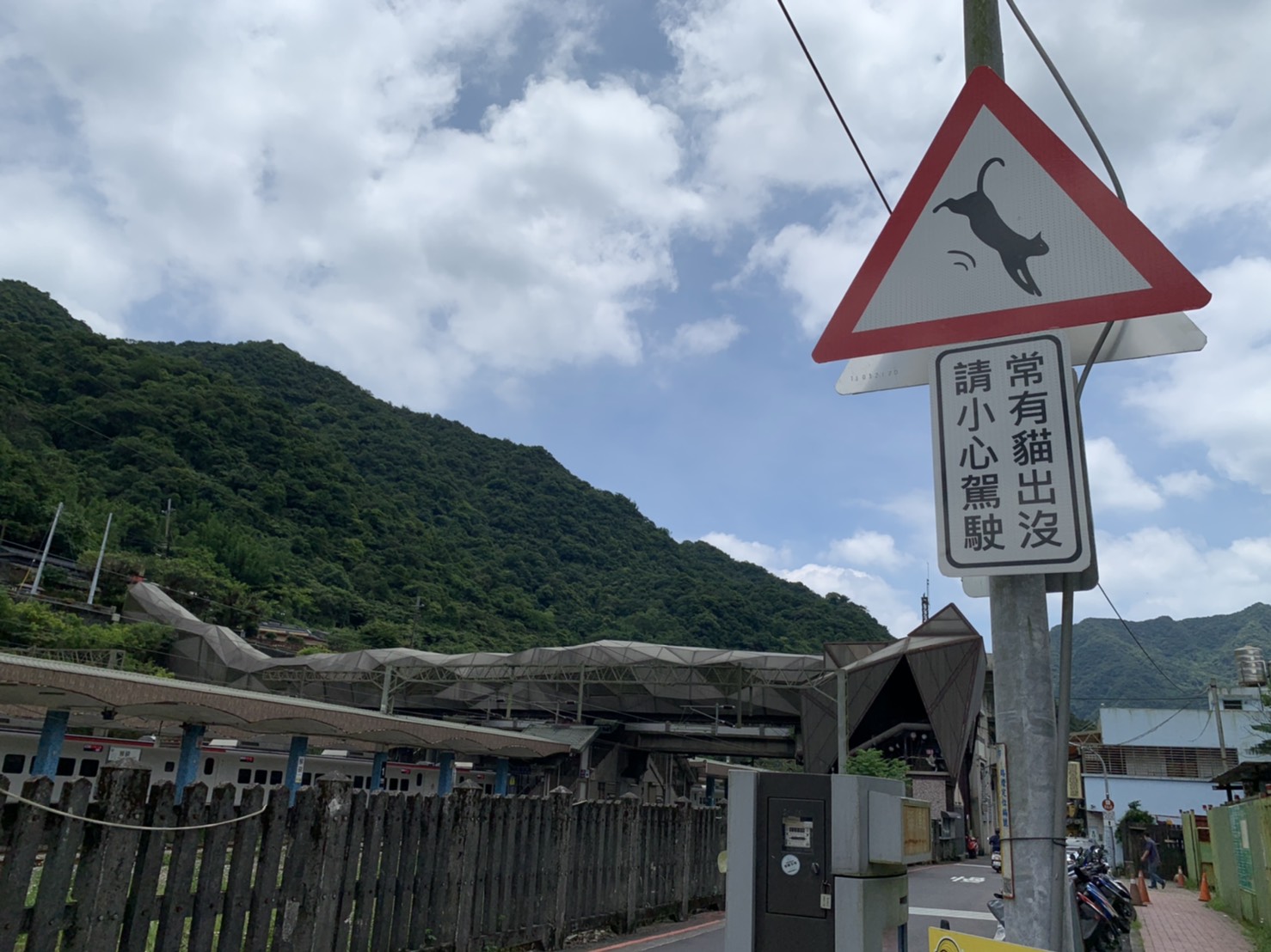 為防止貓咪遭遇路殺意外，交通局請廠商趕製3面「當心貓咪」的警示標誌，重新設置在猴硐火車站周遭。（新北市交通局提供）