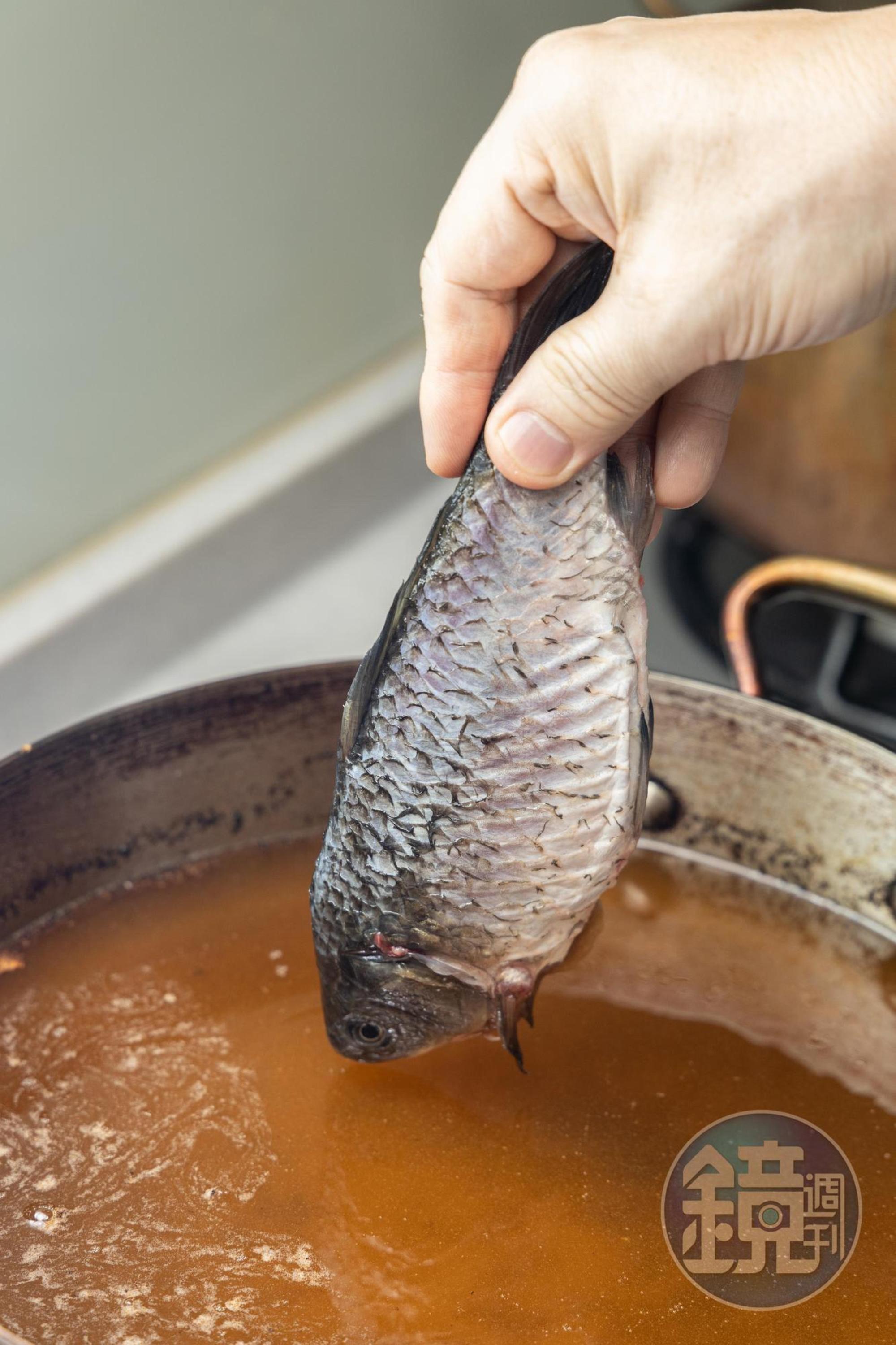 將鯽魚徐徐放入。