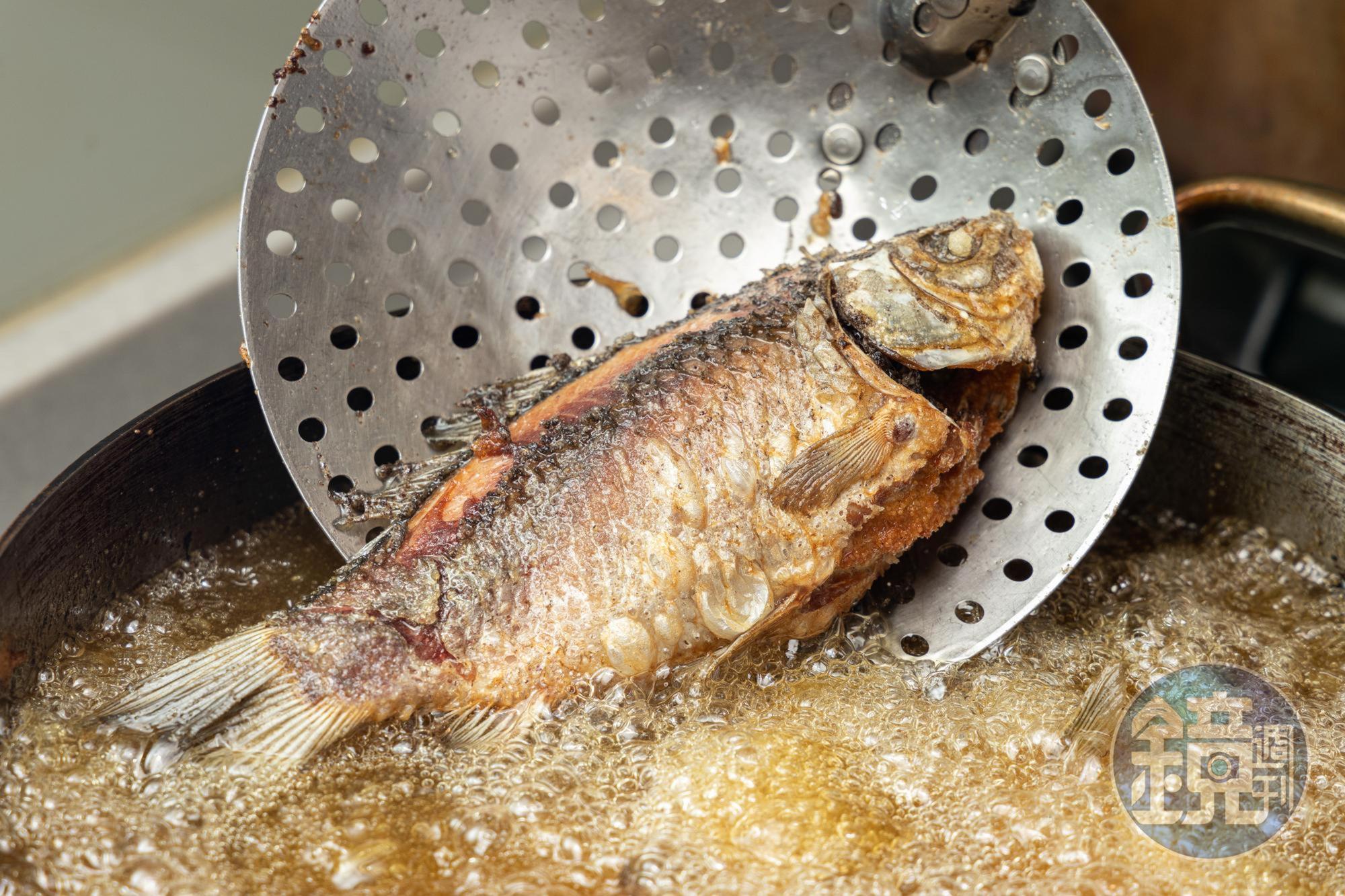 將魚油炸定形。