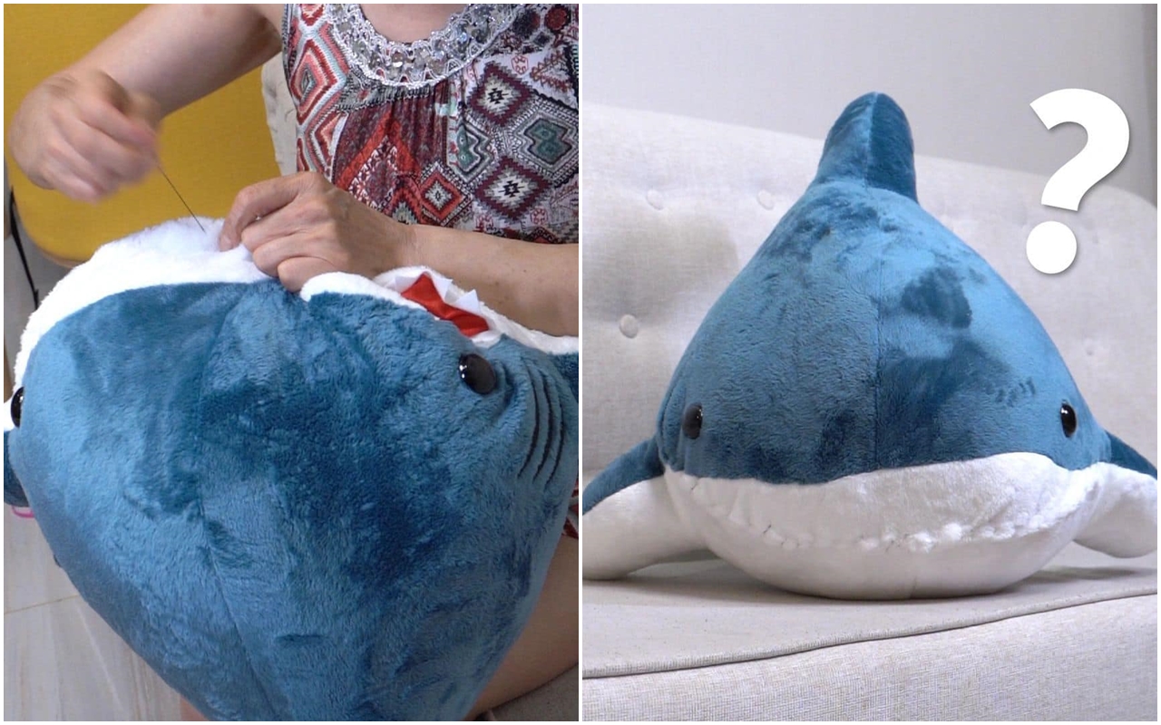 有人在臉書社團po文，自己養的貓在家鑽進鯊魚睡袋中，被阿嬤看到後，結果鯊魚的嘴隔天就被縫了。（翻攝自爆廢公社公開版）