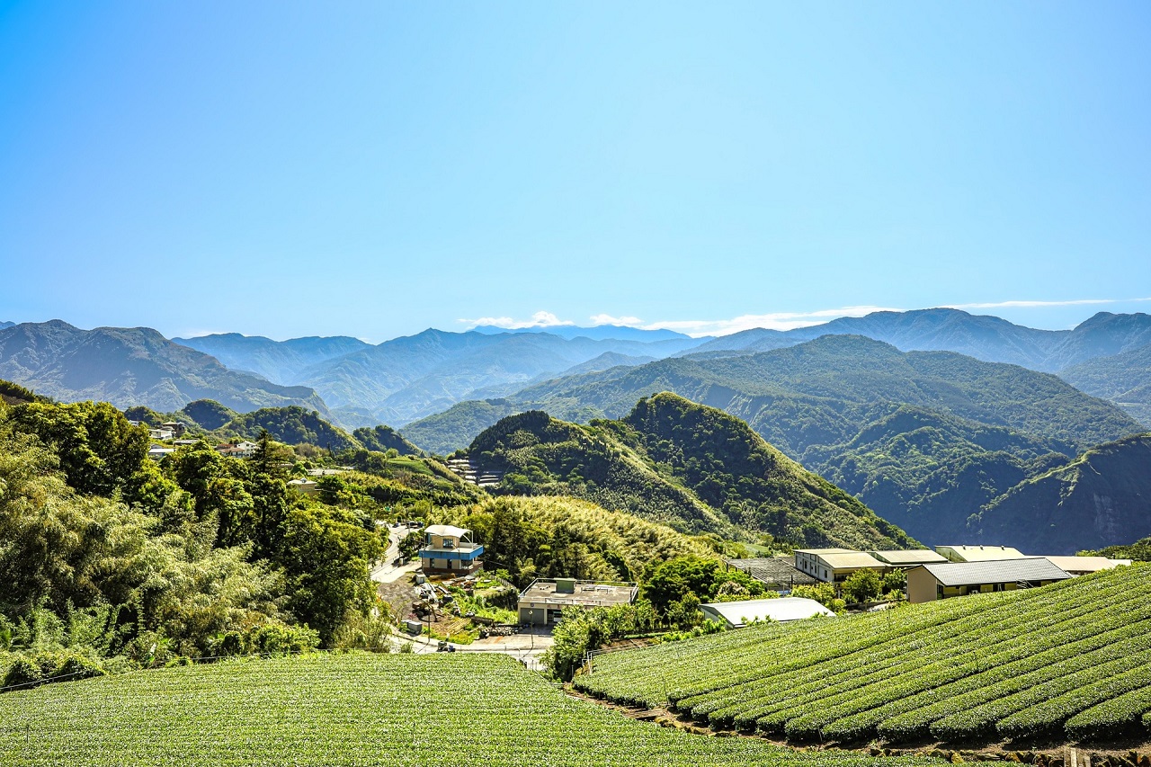 涵碧樓推出一泊二食茶韻之旅，東方餐廳主廚結合台灣中部三大茶山茗茶設計菜單。