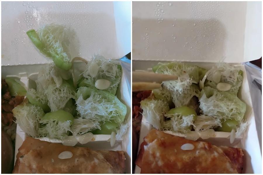 網友分享自己的便當菜色,其中一道菜絲瓜看起來卻像是洗碗的「菜瓜布」。(翻攝自臉書社團爆怨公社)