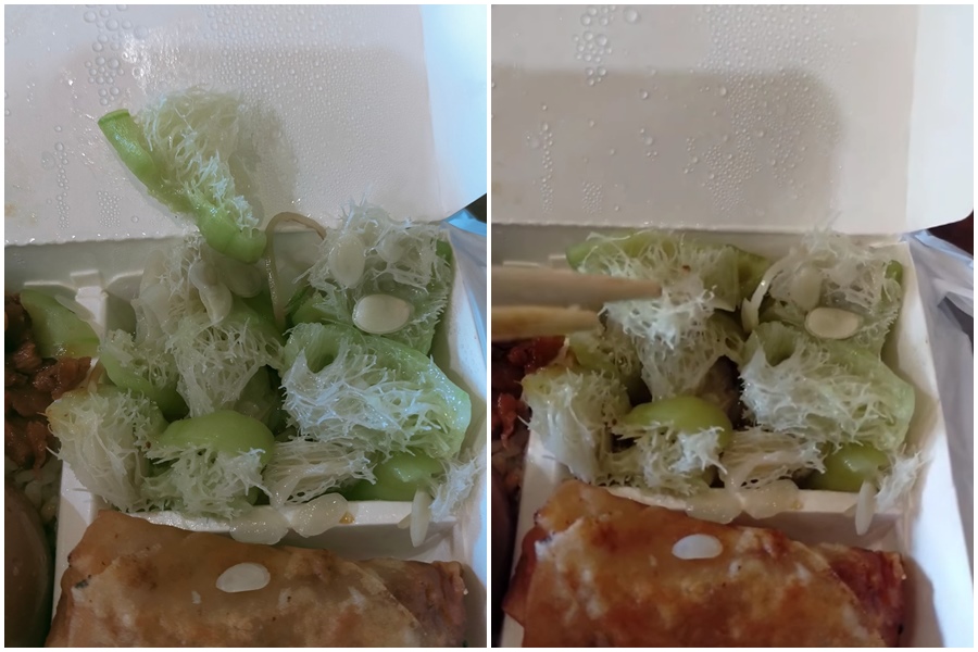 網友分享自己的便當菜色，其中一道菜絲瓜看起來卻像是洗碗的「菜瓜布」。（翻攝自臉書社團爆怨公社）