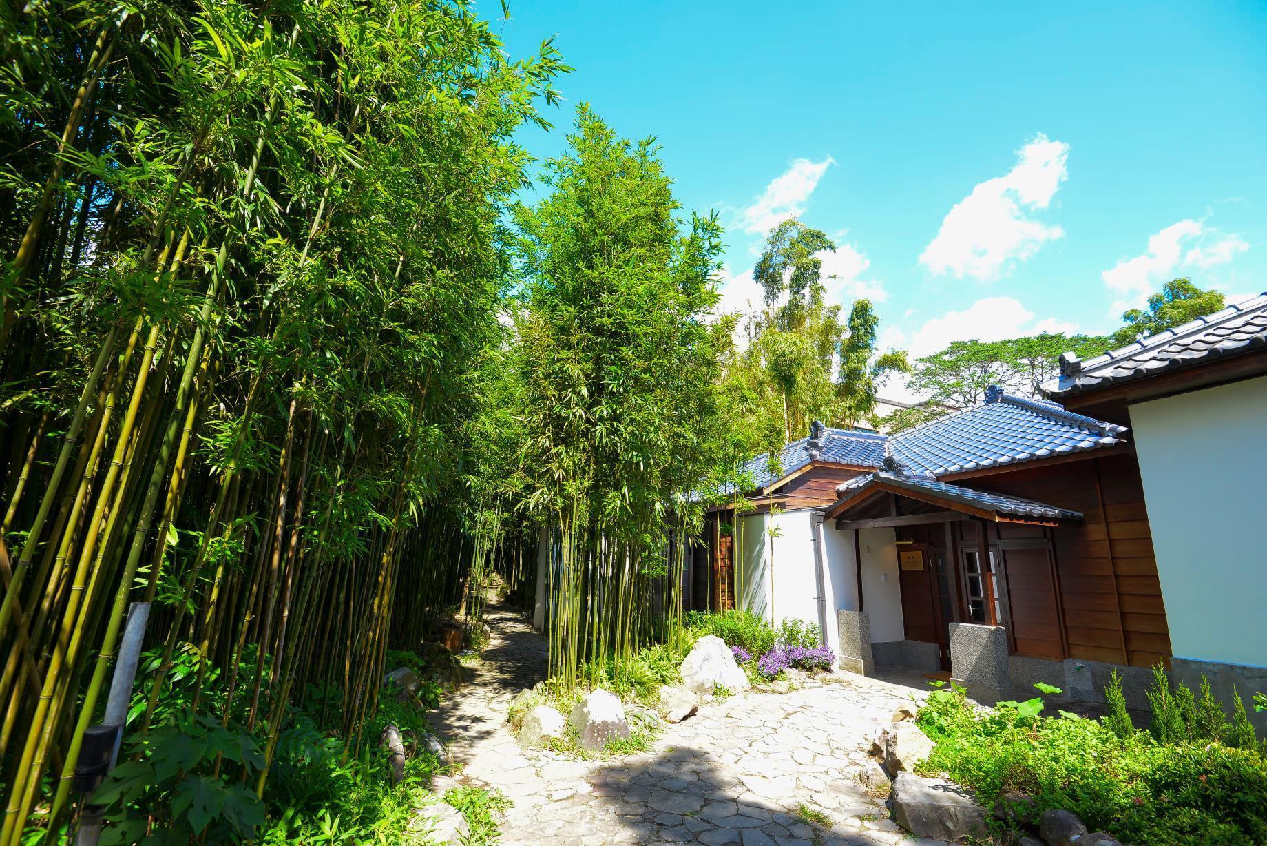 走進山林間，「CAMA COFFEE ROASTERS豆留森林」讓人錯以為身處日本。（豆留森林提供）