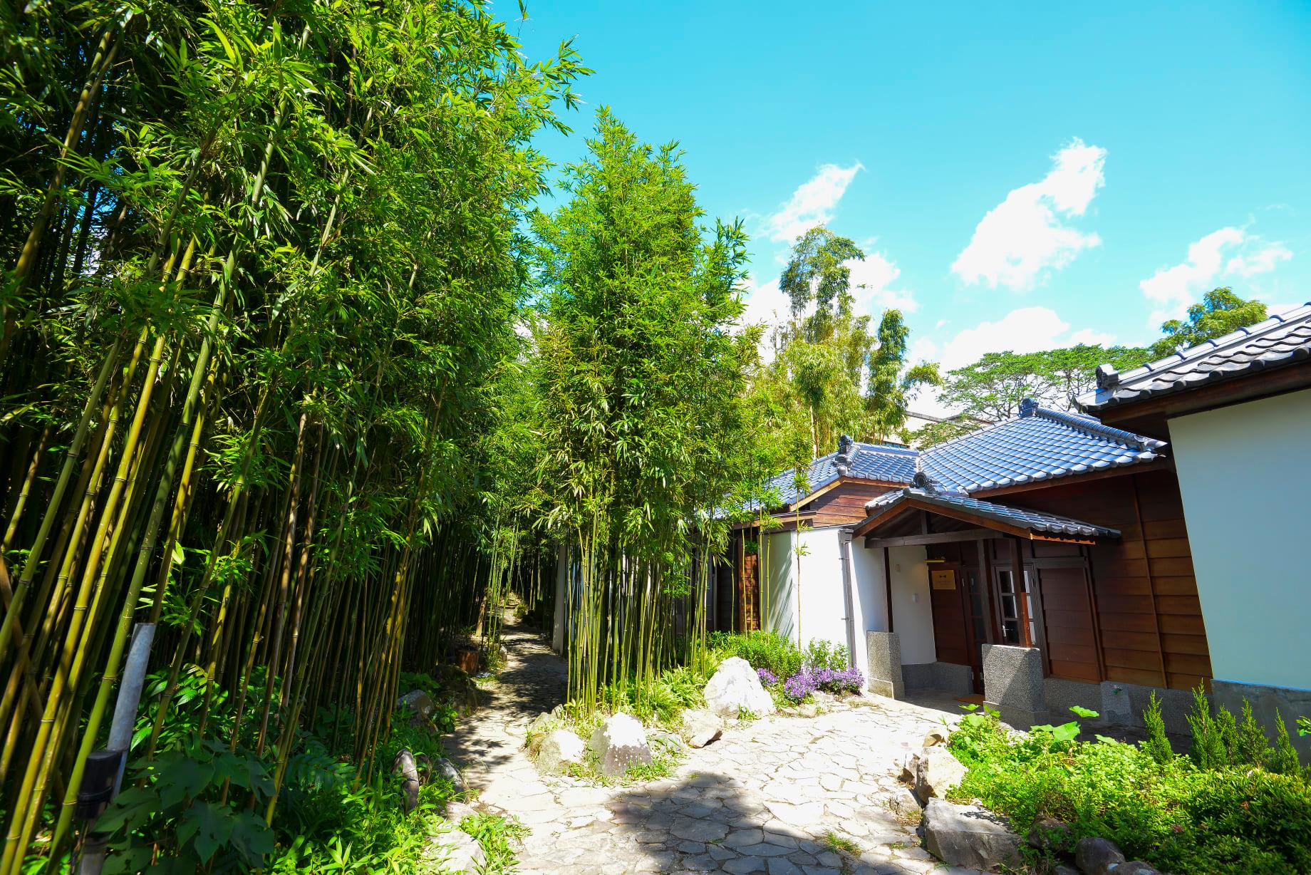 走進山林間，「CAMA COFFEE ROASTERS豆留森林」讓人錯以為身處日本。（豆留森林提供）