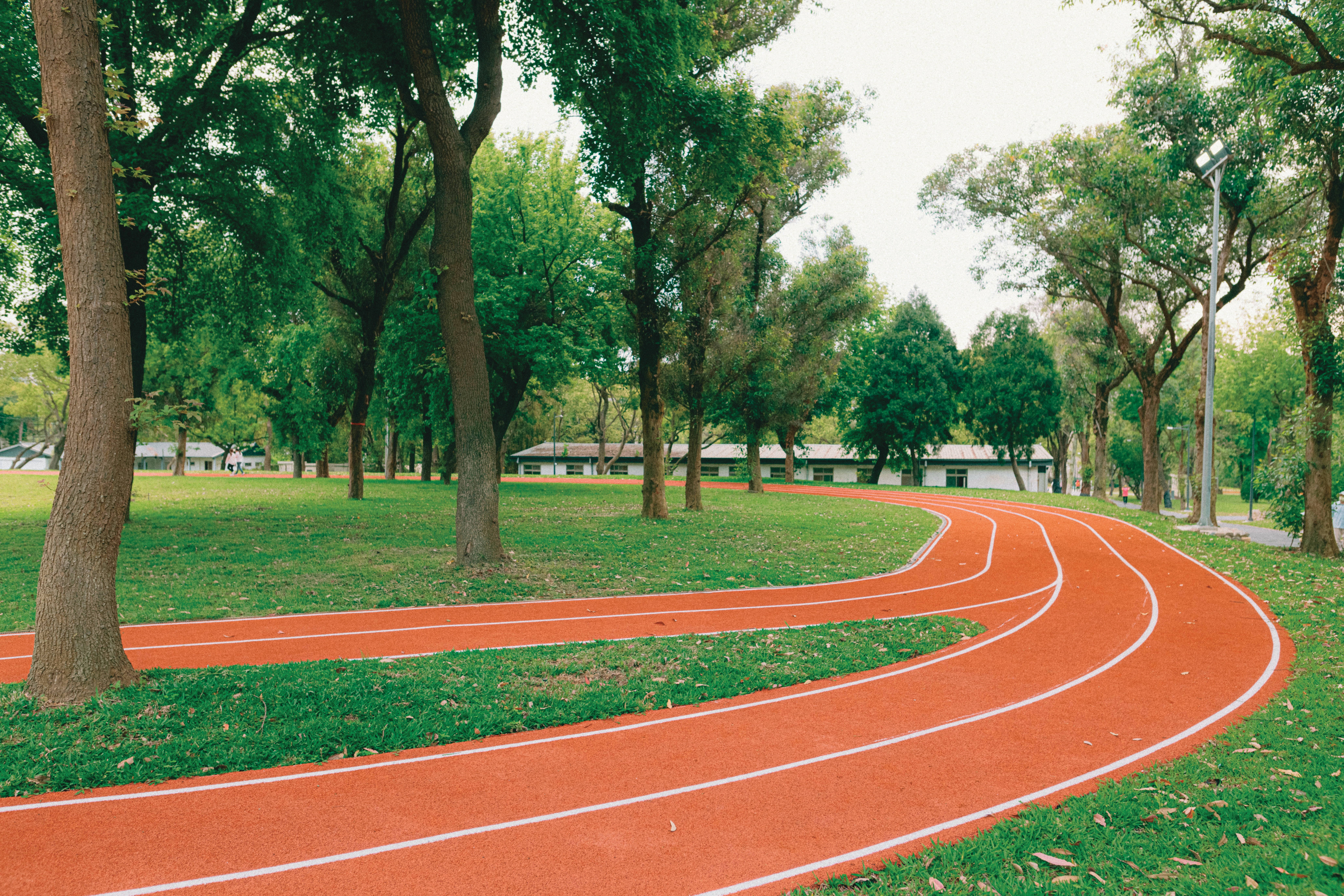 長達400公尺的PU跑道，提供居民健走、練跑，為樹轉彎顯現尊重生命的價值。