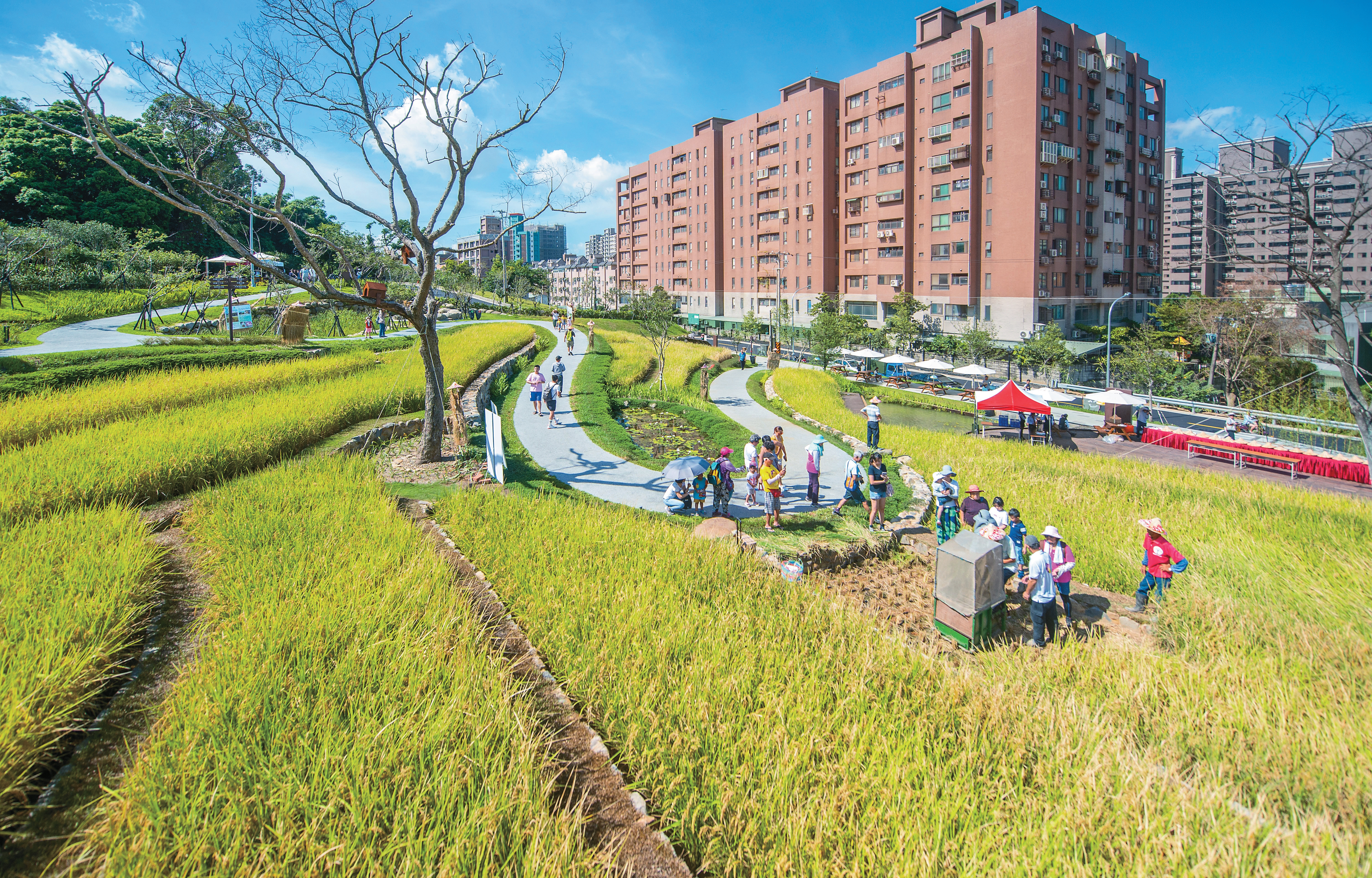 透過梯田地景體驗早期大檜溪農民的生活，喚醒親近自然的意識。