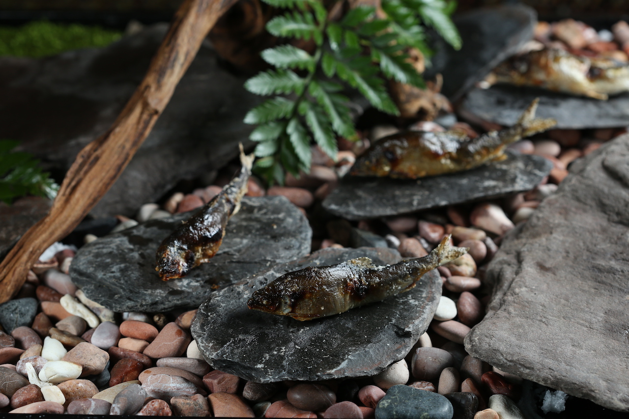 像是跳上河川擺尾的「清流香魚」全魚可食，酥脆，略苦回甘。（Ukai Kaiseki懷石，4,800元套餐菜色）