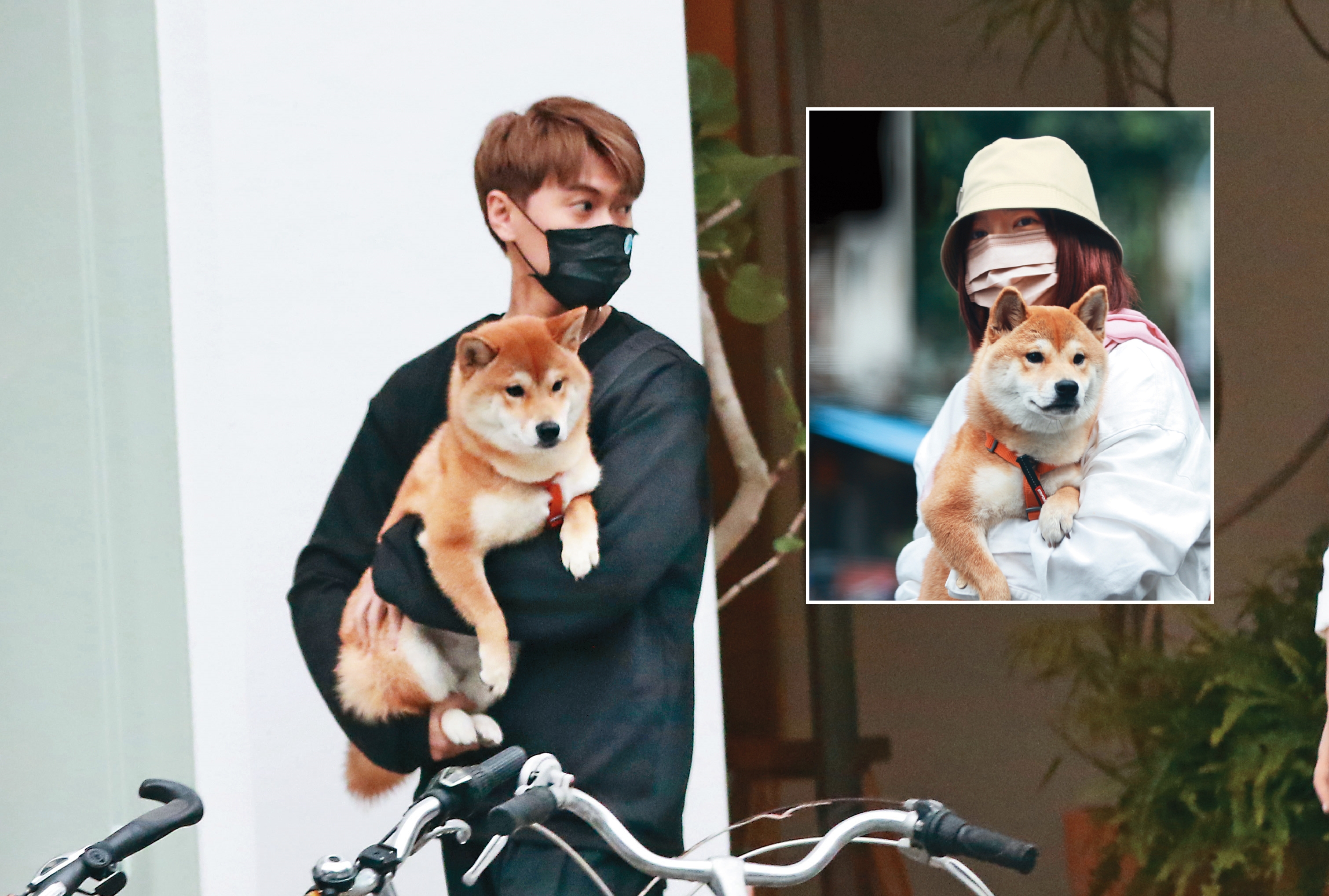 5/27 13：51 郭雪芙（右圖）抱著男友王子弟弟的狗「MoMo醬」，從一輛黑色保時捷下車，結果駕駛竟是毛弟（左圖）。