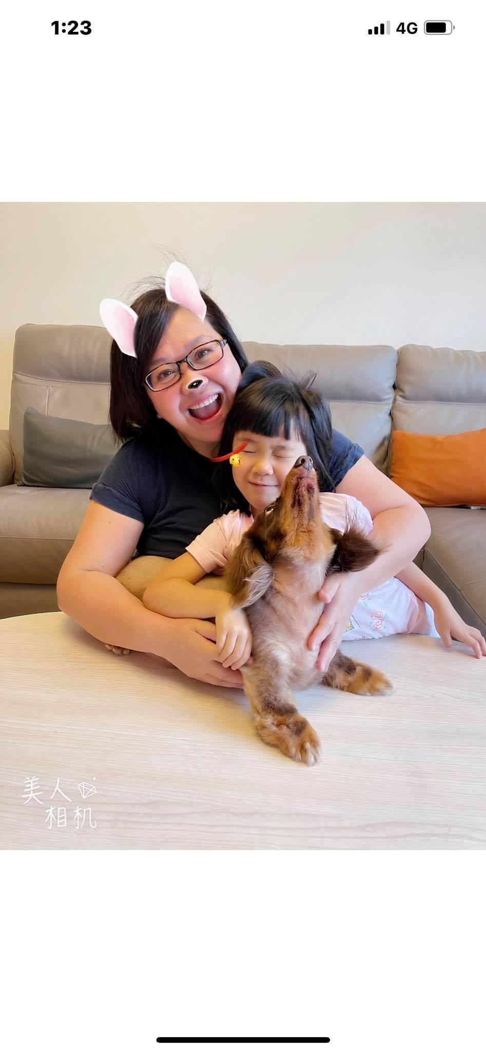 疫情期間，鍾欣凌與心愛的女兒、寵物窩在家，享受家庭時光。（翻攝鍾欣凌FB）