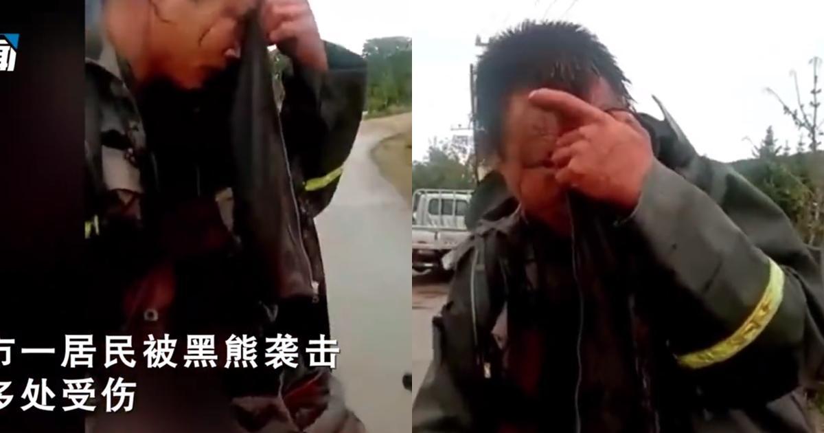 中國一名男子上山放牛時被熊攻擊，眼看逃不過了只好躺在地上裝死，沒想到竟幸運逃過一劫。（翻攝自新聞晨報）