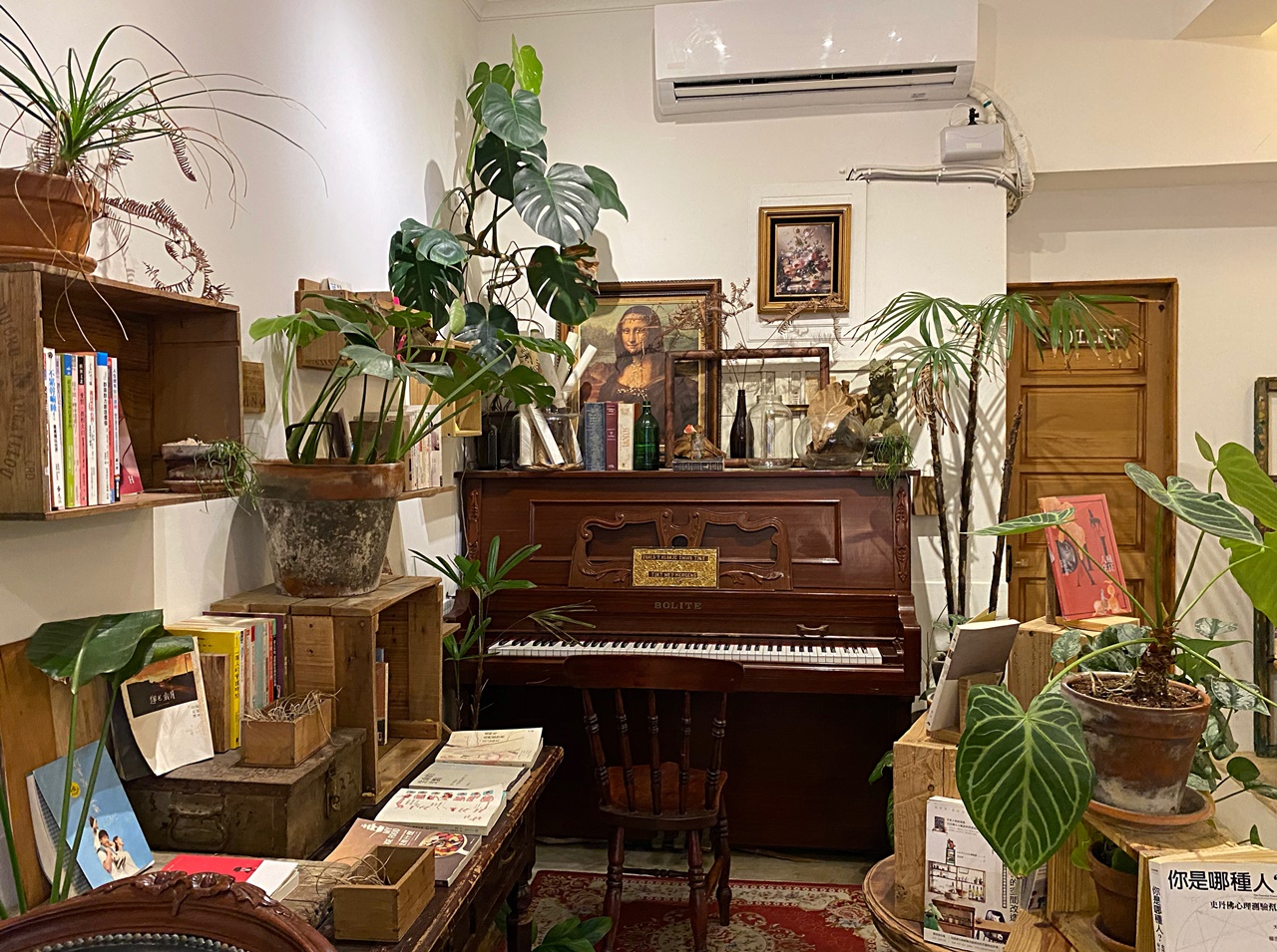 古物與家具被被鬱蔥植栽包圍。