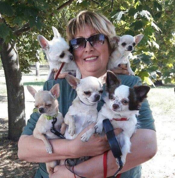 佩特羅娃相當疼愛犬舍裡的寶貝們。（翻攝臉書）