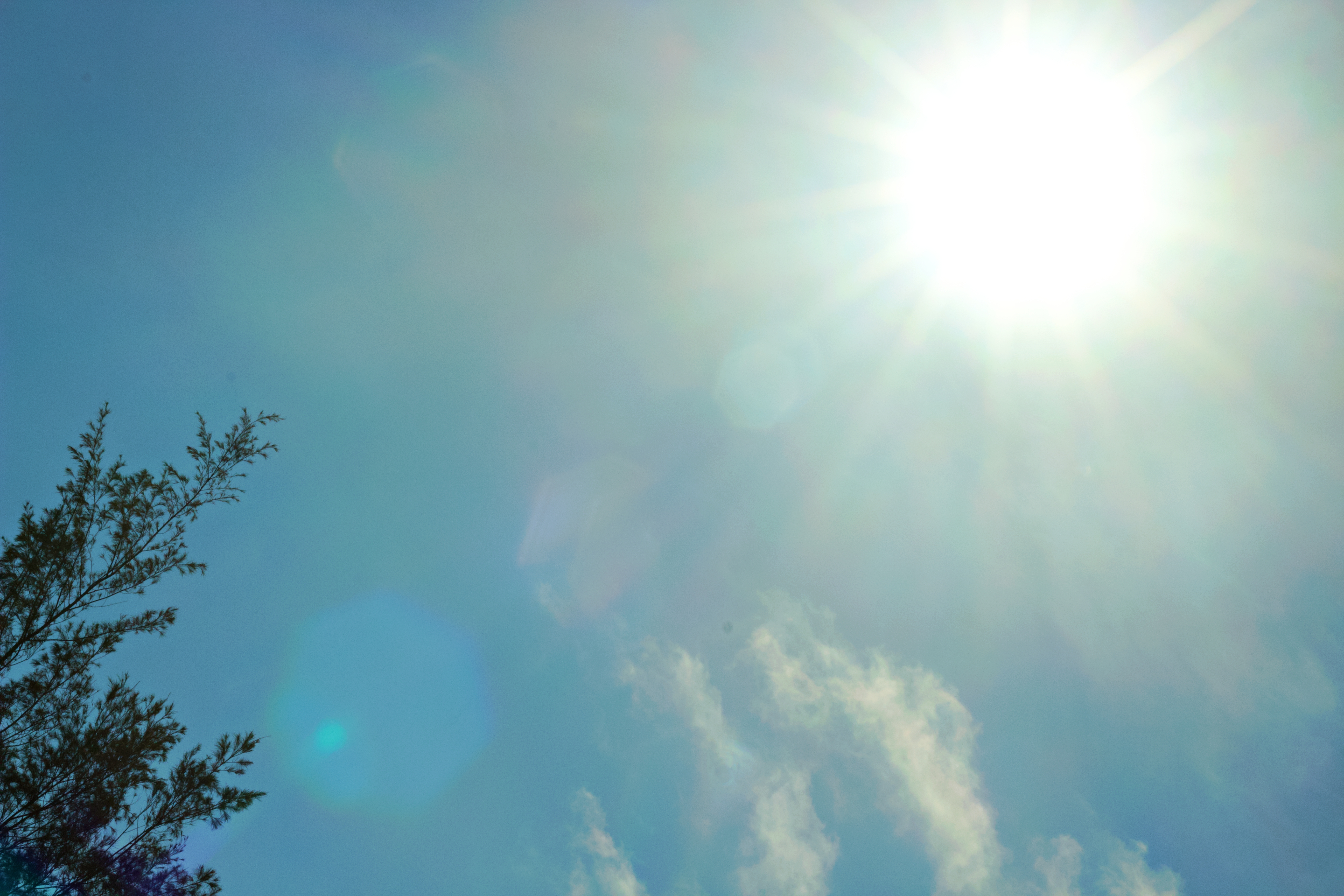 今日各地晴朗悶熱，花東地區需留意焚風。（本刊資料照）