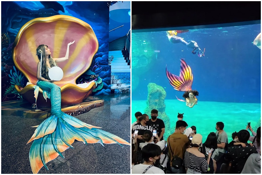 一名女網友在Dcard分享職業美人魚的工作內容，讓網友們大開眼界。（翻攝自Dcard）