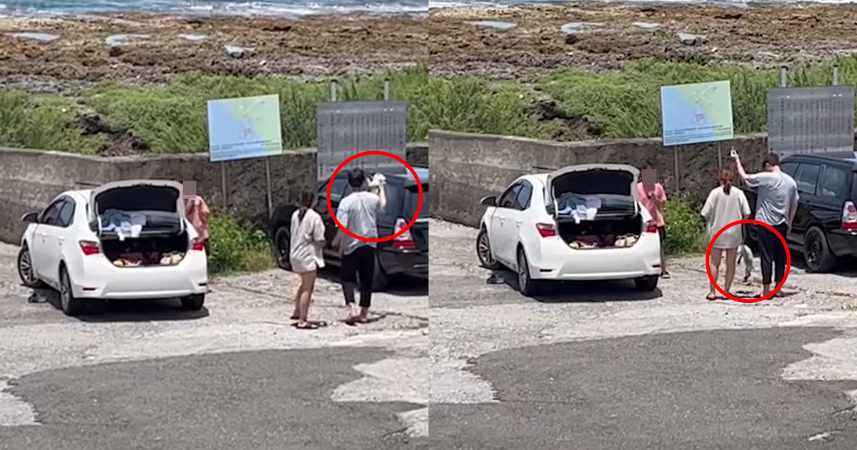 墾丁發生一起暴力虐貓事件，男子將貓咪騰空吊起、重摔在地。（翻攝自米克斯傳奇臉書）