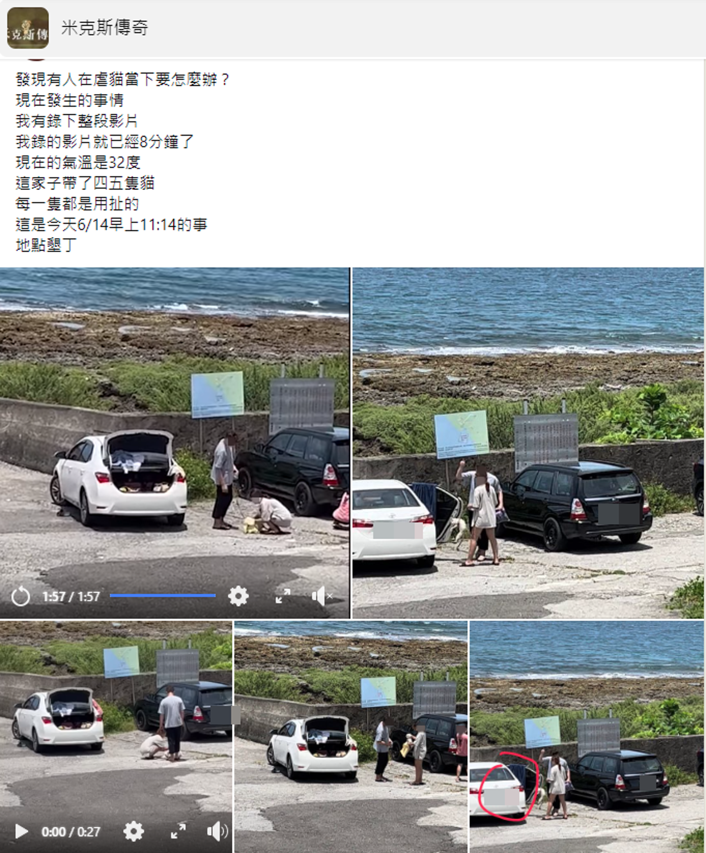墾丁發生虐貓事件，過程遭拍下上傳臉書社團，引爆網友怒火。（翻攝自米克斯傳奇臉書）