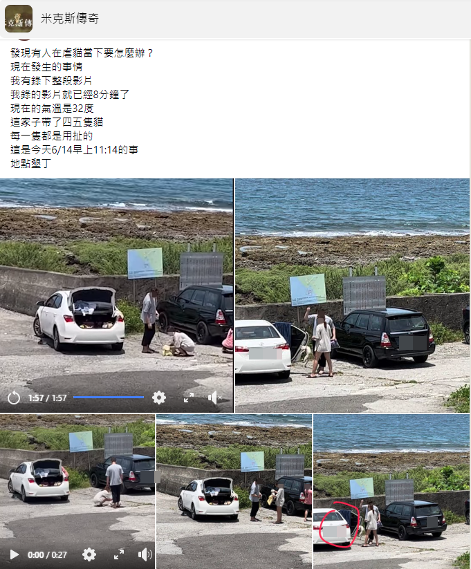 墾丁發生虐貓事件，過程遭拍下上傳臉書社團，引爆網友怒火。（翻攝自米克斯傳奇臉書）