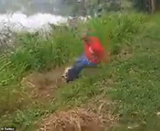 醉男對鱷魚挑釁，鱷魚立刻反撲。（翻自推特）