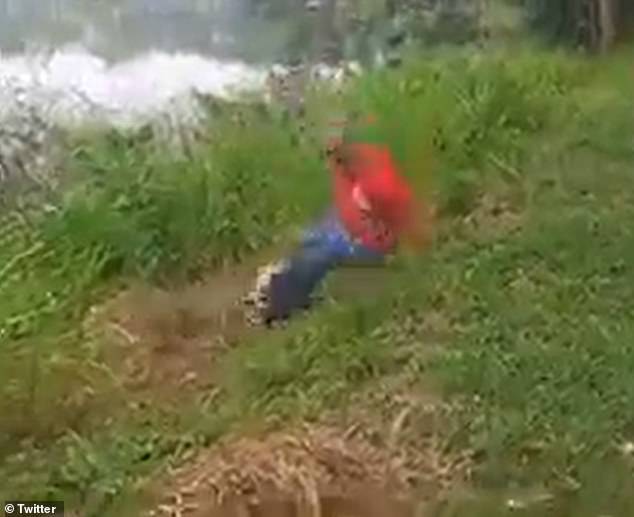 醉男對鱷魚挑釁，鱷魚立刻反撲。（翻自推特）