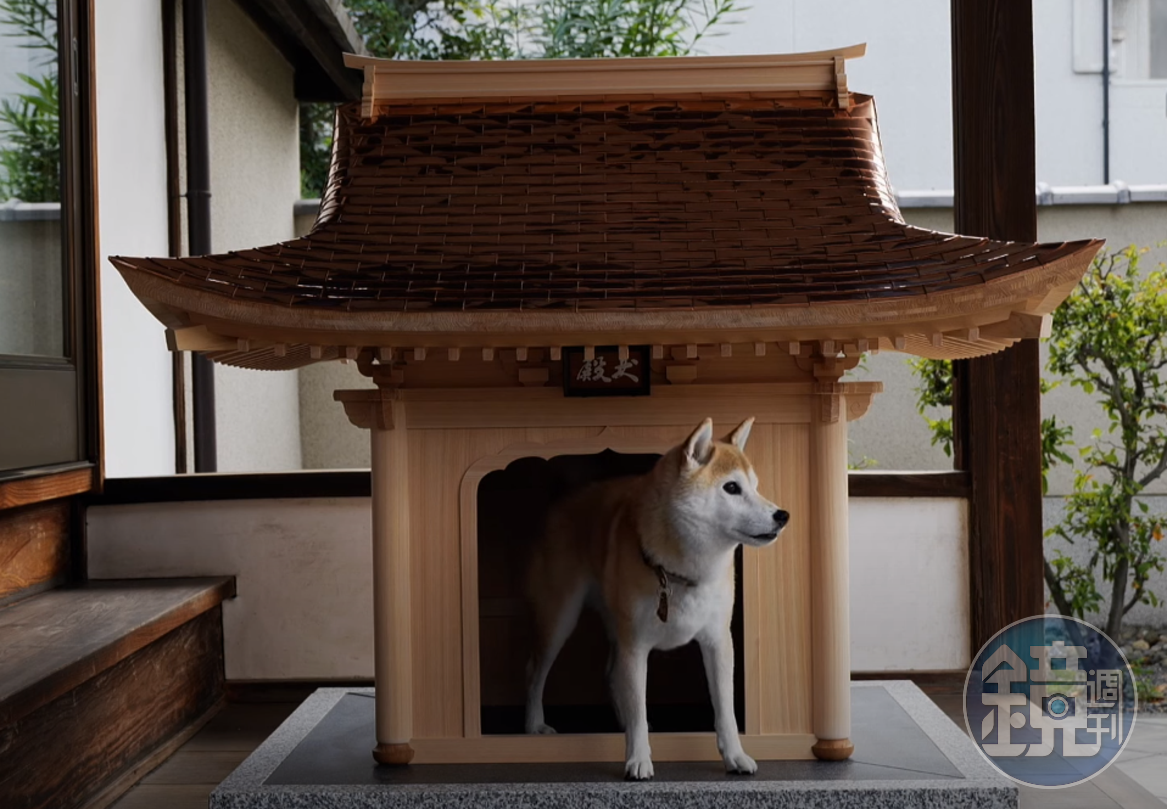 日本建設公司「株式會社文化財構造計畫」推出一款狗屋，售價15萬美元（約新台幣445萬）。（翻攝犬殿YouTube頻道）