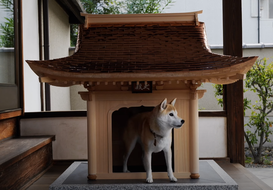 日本建設公司「株式會社文化財構造計畫」推出一款狗屋，售價15萬美元（約新台幣445萬）。（翻攝犬殿YouTube頻道）