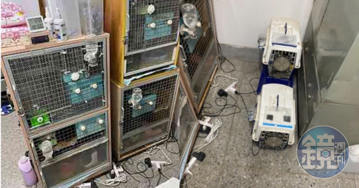 遭指控霸凌的徐姓小隊長,亦被指控在公家寢室飼養龍貓,主管卻視而不見。(讀者提供)