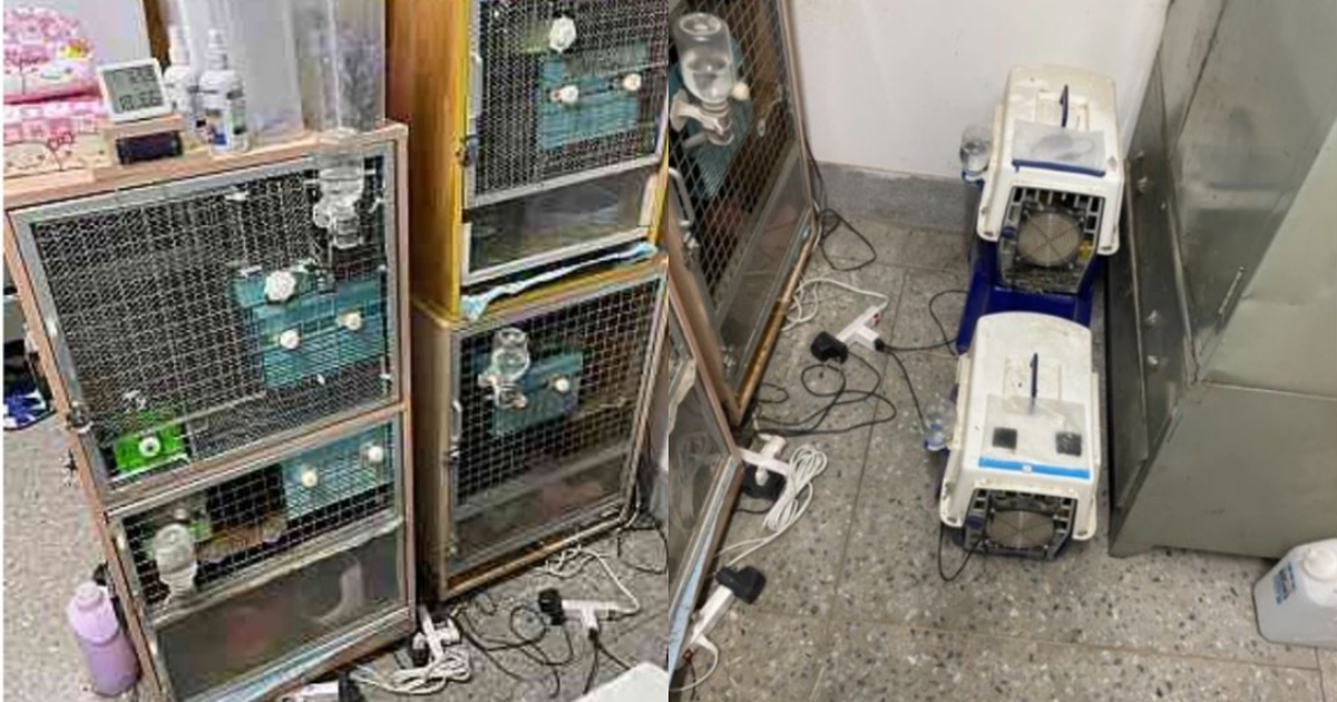 遭指控霸凌的徐姓小隊長，亦被指控在公家寢室飼養龍貓，主管卻視而不見。（讀者提供）